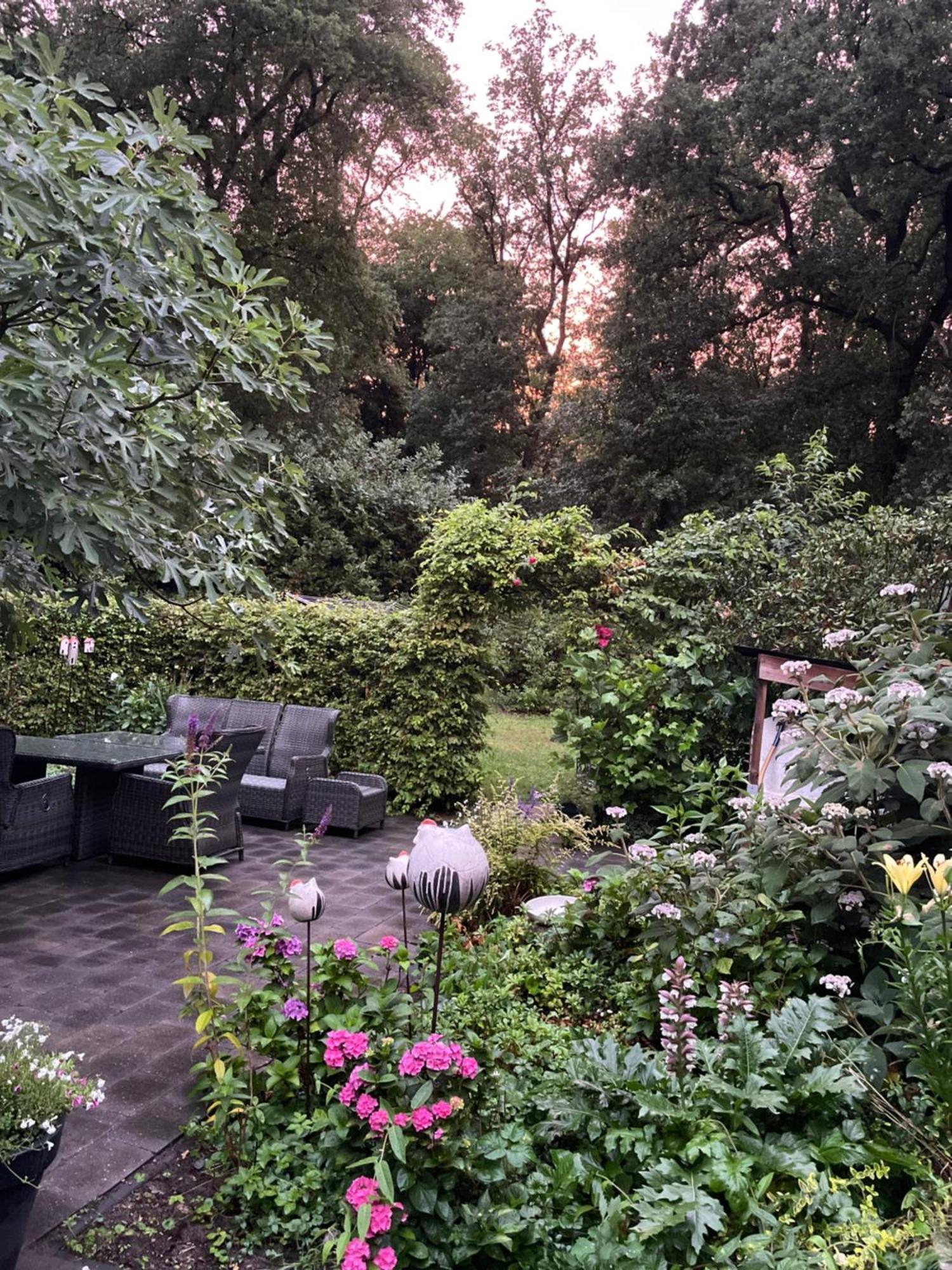 De Hooizolder Bed & Breakfast Hellendoorn Exterior foto